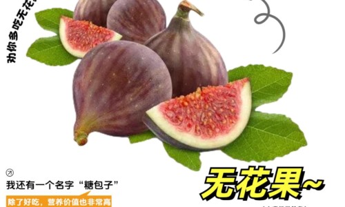 麻籽儿的功效与作用及禁忌-麻籽儿的功效与作用网-分享麻籽功效和作用，麻籽儿的功效与作用及禁忌知识库