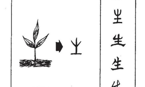 麻籽儿的功效与作用及禁忌-麻籽儿的功效与作用网-分享麻籽功效和作用，麻籽儿的功效与作用及禁忌知识库