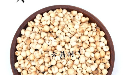 麻籽儿的功效与作用网-分享麻籽功效和作用，麻籽儿的功效与作用及禁忌知识库